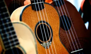 Gdzie można kupić ukulele? Najlepsze sklepy i oferty w Polsce