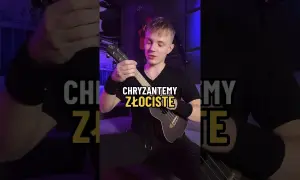 Chryzantemy złociste chwyty gitarowe - zagraj je bez błędów
