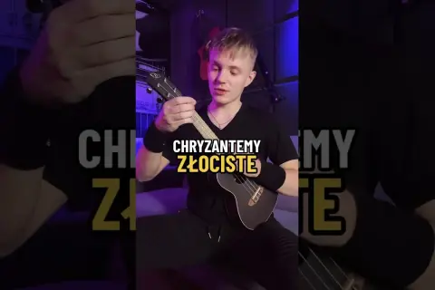 Chryzantemy złociste chwyty gitarowe - zagraj je bez błędów