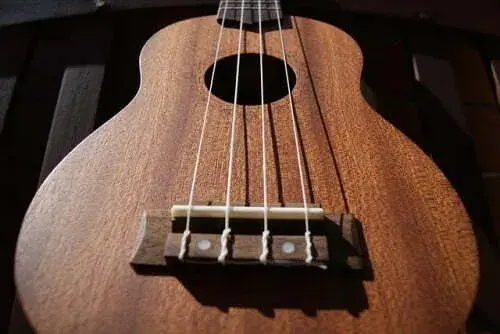 Jakie struny do ukulele wybrać, aby uzyskać idealne brzmienie?